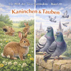 Kaninchen und Taube