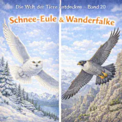 Schnee-Eule und Wanderfalke