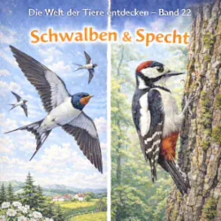 Schwalben und Specht