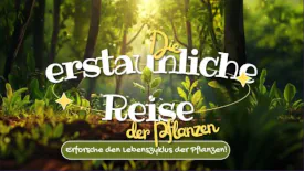 Pflanzen